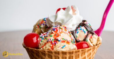 Bankruptcy Forces Ice Cream Chain to Close 500 Locations