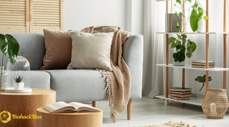 Economy Home Decor