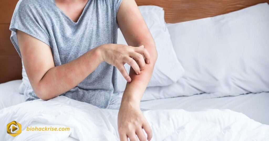 Signs You Might Have Couch Mites