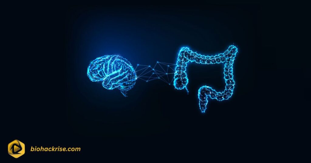 The Gut-Brain Connection in Dogs
